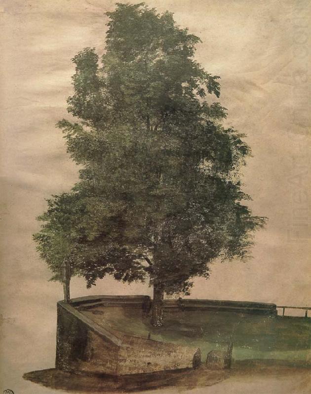 Albrecht Durer Linden Tree on a Bastion china oil painting image